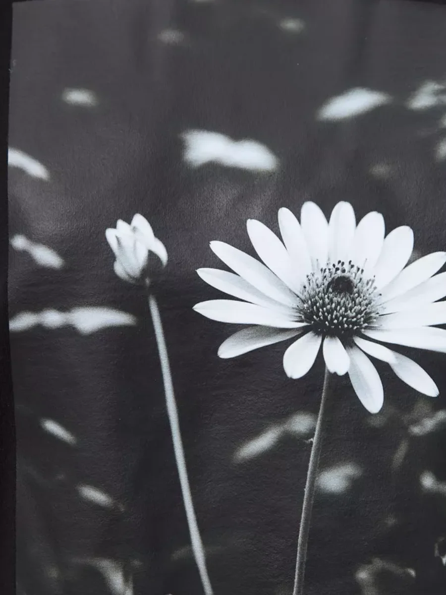 Реальное фото Футболка DEN.VER женская (кулирка) оверсайз, принт 2 ромашки черная ФМ-1-003 от магазина Спортев