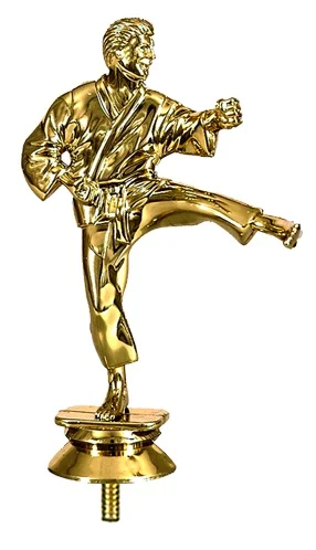 Реальное фото Фигура F10/G карате (H-13 см) от магазина Спортев