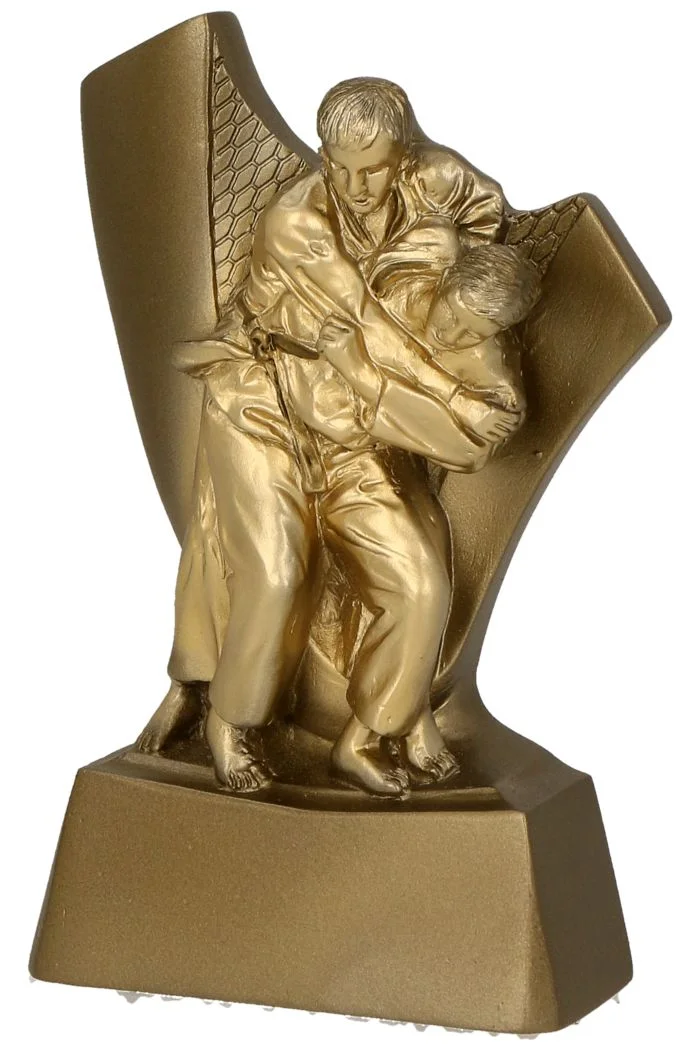 Реальное фото Фигура RP4014 дзюдо (Н-10 см) от магазина Спортев