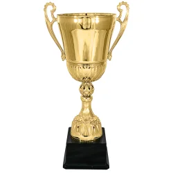 Кубок KB 5026 C (H-34 см, D-120 мм)