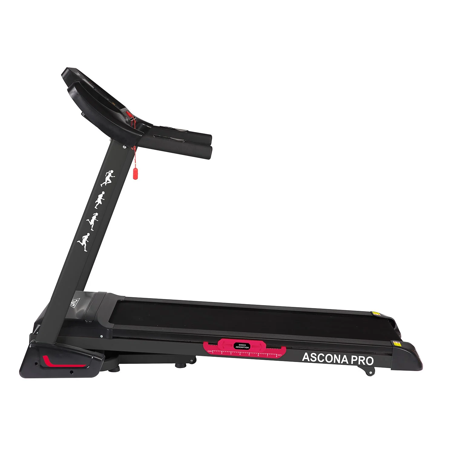 Реальное фото Беговая дорожка DFC ASCONA Pro T640 от магазина Спортев