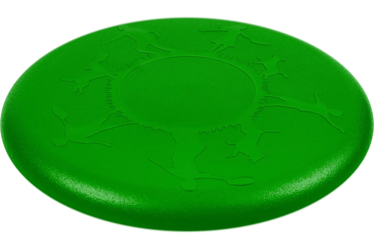 Реальное фото Летающая тарелка - фрисби Fortius ПП зеленый H231201-23LG-P от магазина Спортев