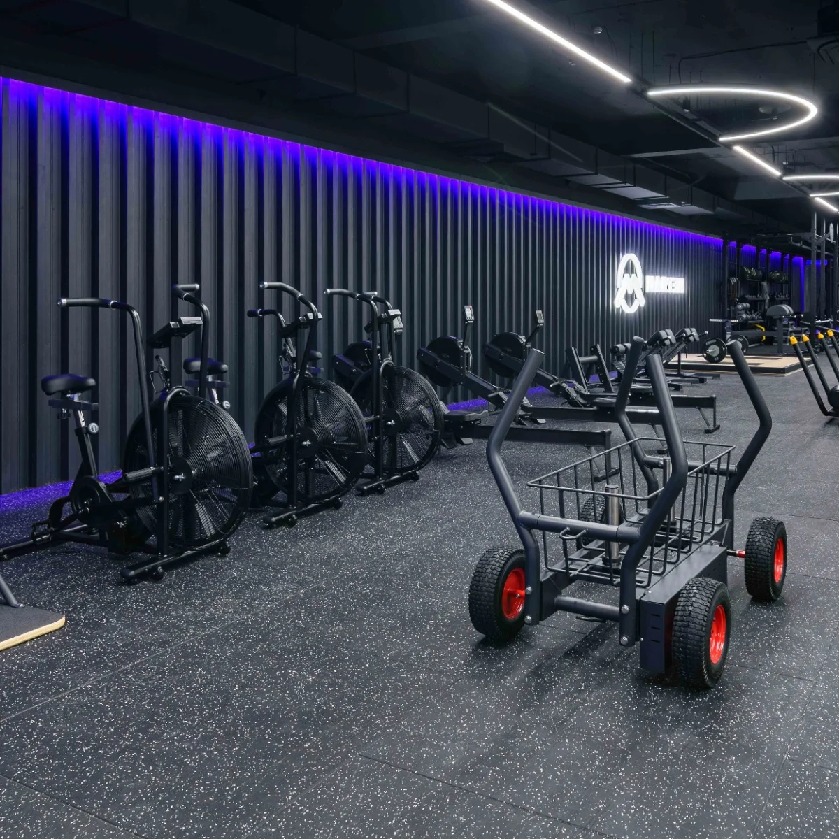 Реальное фото Сани-тележка для функционального тренинга (Тренажер Tank) TANGEN от магазина Спортев