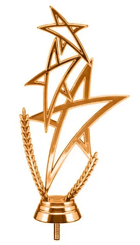 Реальное фото Фигура B217/BR звезды (H-16 см) от магазина Спортев