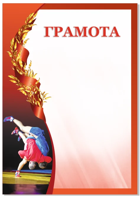 Реальное фото Грамота 00595 самбо от магазина Спортев