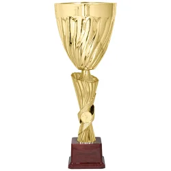 Кубок KB 5079 D (H-35 см, D- 120 мм)