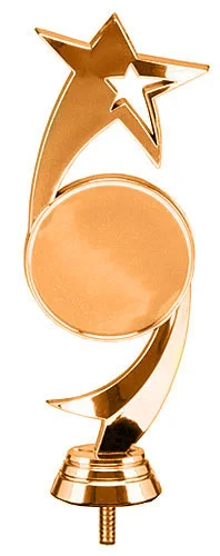 Реальное фото Фигура B218/BR звезды (H-16 см) от магазина Спортев