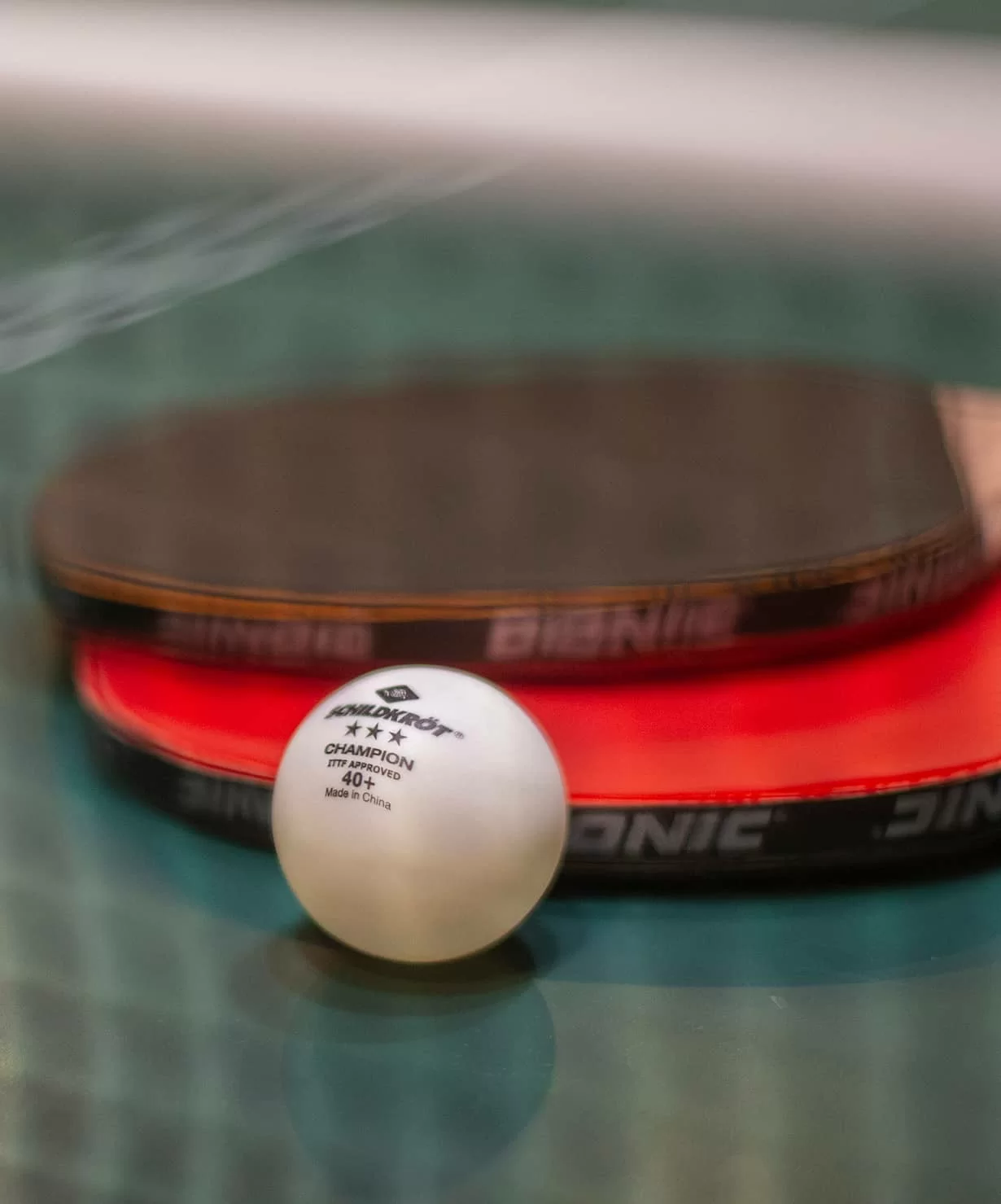 Реальное фото Мячи для настольного тенниса Donic-Schildkrot Champion ITTF белый (3 шт.) 16062/3 от магазина СпортЕВ