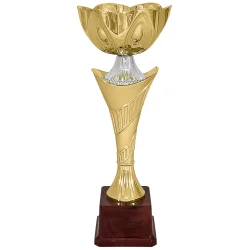 Кубок KB 8066 B (H- 28 см , D- 100 мм)