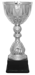 Кубок KB 5027/S (H-37 см, D-160 мм)