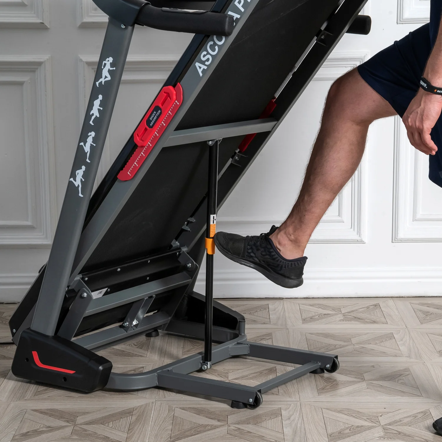 Реальное фото Беговая дорожка DFC ASCONA Pro T640 от магазина Спортев