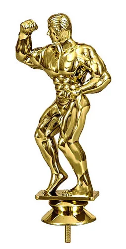 Реальное фото Фигура B345/G бодибилдинг (H-13 см) от магазина Спортев