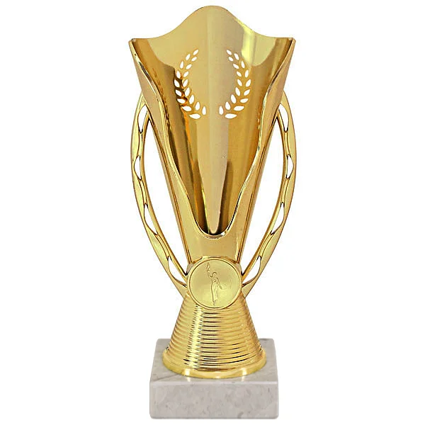 Реальное фото Кубок KB 9050/G/N (H- 20 см) от магазина Спортев