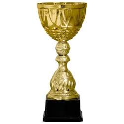 Кубок KB 5027/G (H-37 см, D-160 мм)