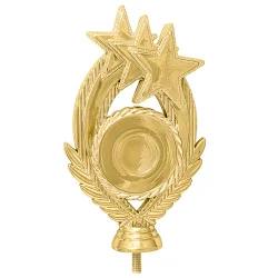 Фигура C3160/G-1 звезды (H-16 см)