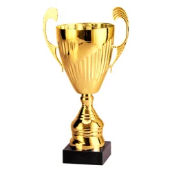 Кубок 7098 C/N (H- 47 см, D-200 мм)