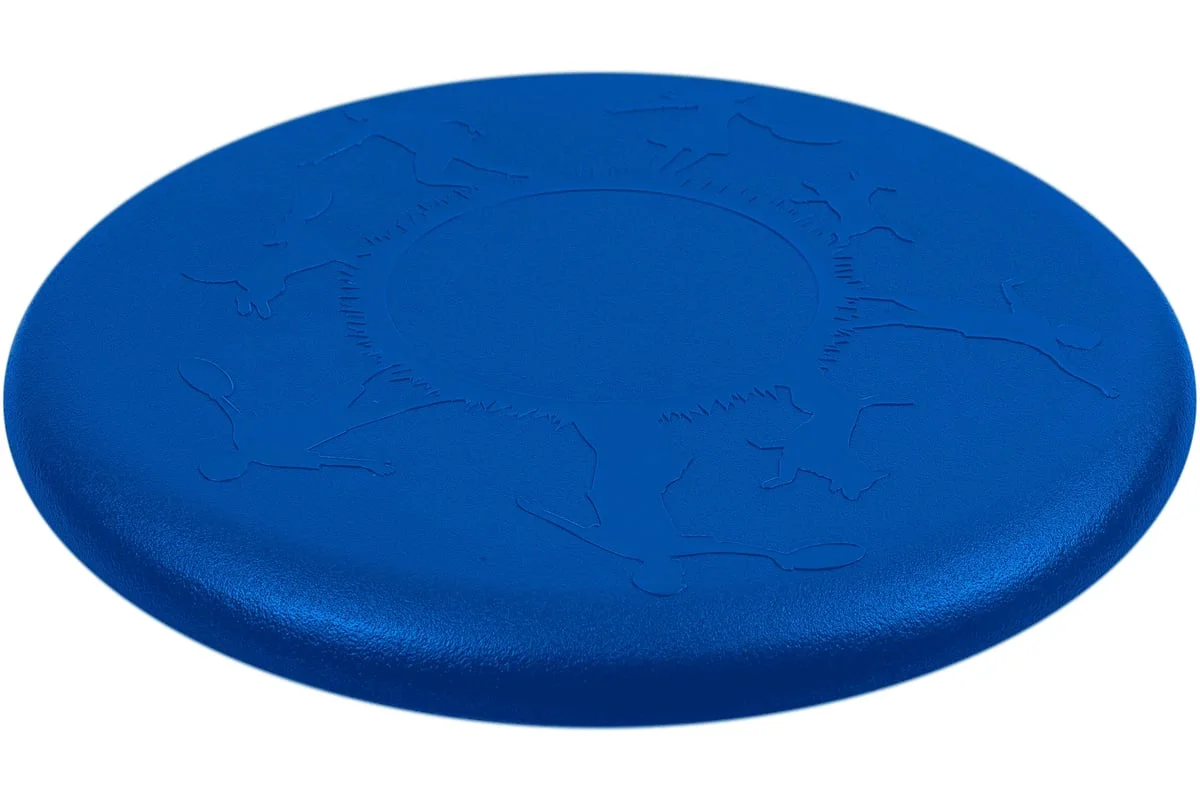 Реальное фото Летающая тарелка - фрисби Fortius ПП синий H231201-23LB-P от магазина Спортев