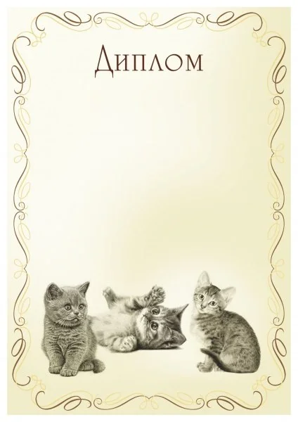 Реальное фото Диплом 00573 Кошки от магазина Спортев