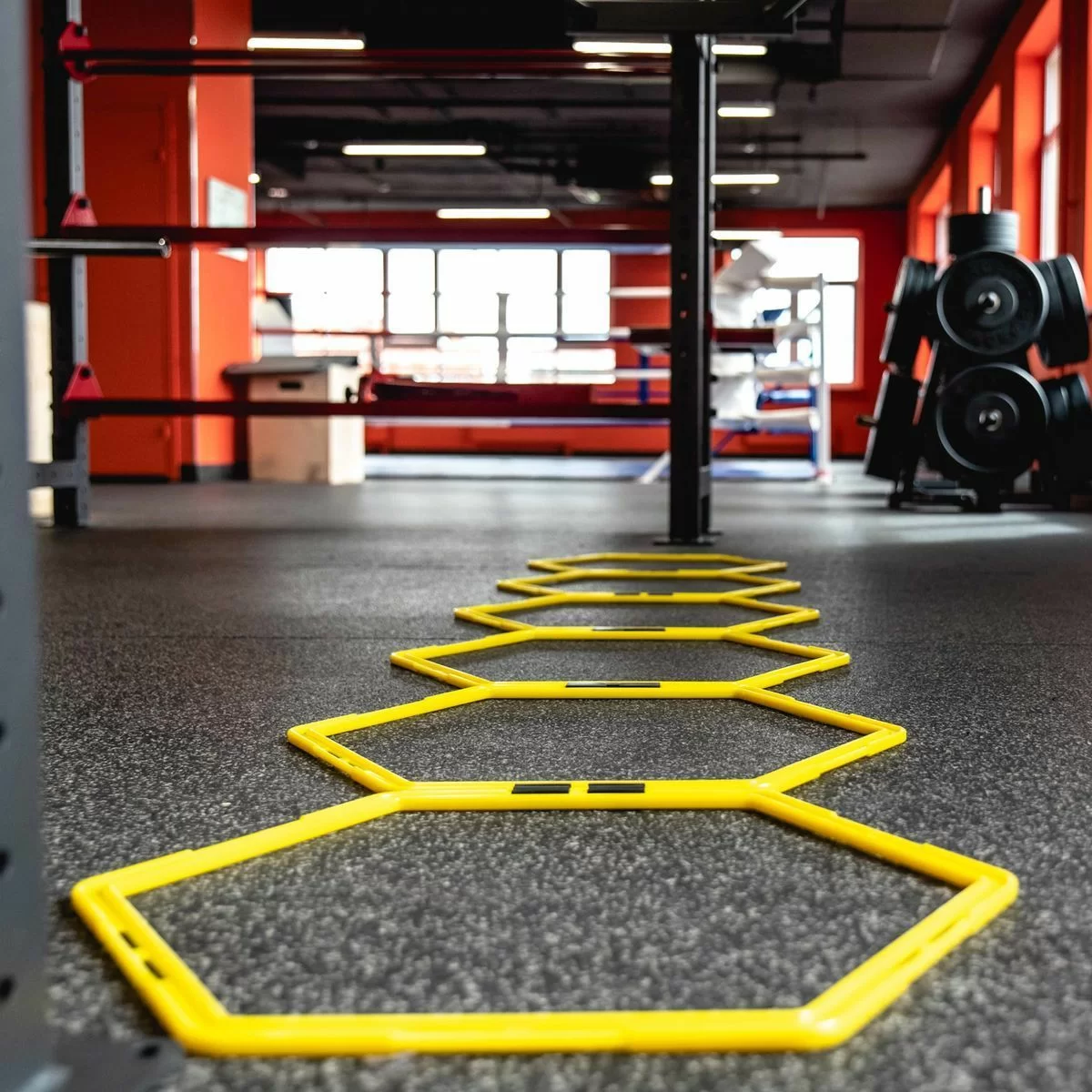 Реальное фото Лестница для функциональных тренировок PROFI-FIT от магазина СпортЕВ