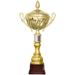 Кубок KB 5016 B (H- 46см, D-160 мм)