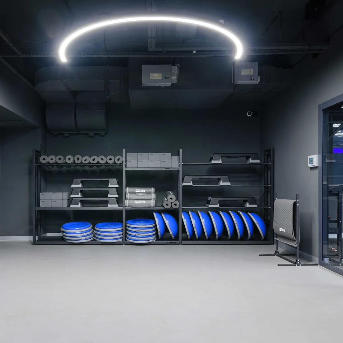 Реальное фото Полусфера для фитнеса PROFI-FIT от магазина Спортев