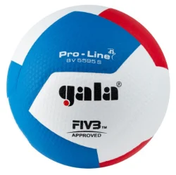 Мяч волейбольный Gala Pro-Line 12 р.5 FIVB синт.кожа ПУ клеен белый/гол/красный BV5595S