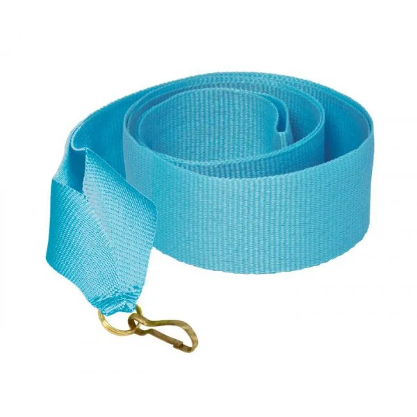 Реальное фото Лента для медали V8-LBL голубая (10 мм) от магазина Спортев