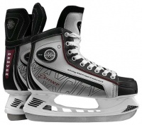 Хоккейные коньки