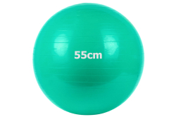 Фитбол 55 см Gym Ball GM-55-3 зеленый 10022101