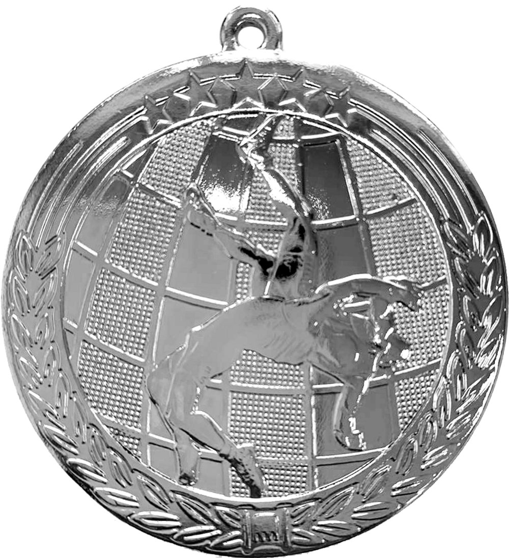 Реальное фото Медаль АТ602 d-60 мм от магазина СпортЕВ