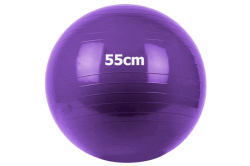 Фитбол 55 см Gym Ball GM-55-4 фиолетовый 10022102
